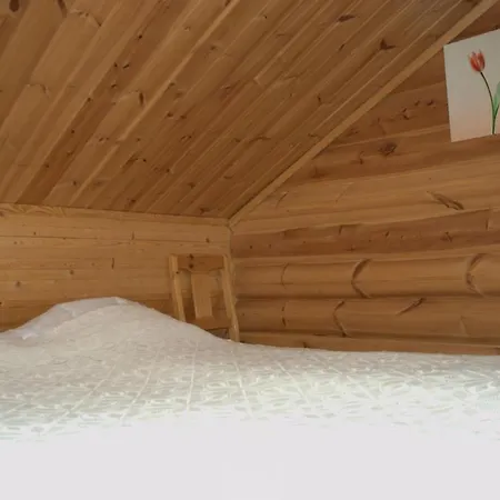 Ruokolahti Cottage Casa vacanze