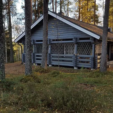 Ruokolahti Cottage Holiday home Ruokolahti