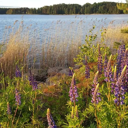 Prázdninový dům Ruokolahti Cottage Ruokolahti